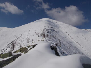 la cima dell'Uja cosi come appare usciti dalla boschina..