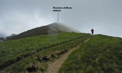 Dal M. Lema iniziamo la traversata verso il M. Tamaro , toccando varie cime.