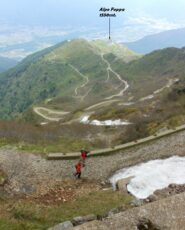 In discesa verso l'Alpe Foppa.