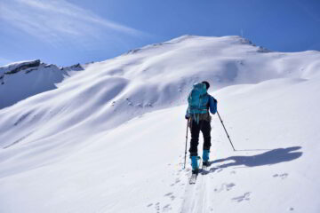 I pendii sommitali della Tete de Fer