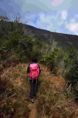 Scendendo verso Crevari - Versante sud M.Pennone