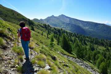 Sul sentiero n.10 (Sentiero Natura).