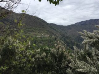 on the way to San Martino...