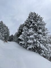 Scorci invernali.