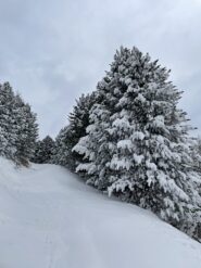 Scorci invernali.