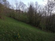 Ambiente 