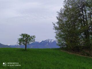 Panorama davvero suggestivo dal prato in cima.