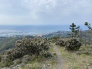 panoramica dal belvedere 