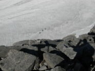dalla cresta
