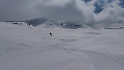 velluto