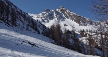 Gran Guglia