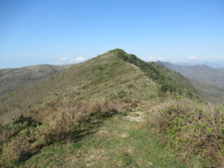 Pizzo Aguzzo (m.756)