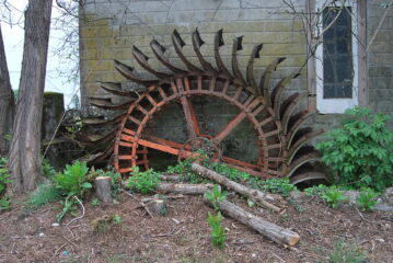 Vecchia ruota da mulino alla Cascina Broggina