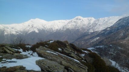 Testa Brusà
