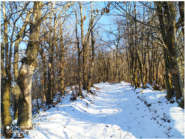 Risalita innevata, dal pilone dei Bonelli.
