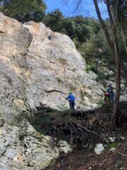 La via centrale al terzo settore: Lino su Senza parole.