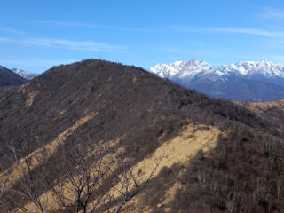 Il Turu