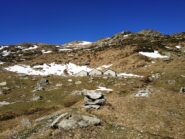 Alpeggi alti salendo.