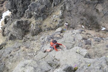Placca dello Spitrock e dente dall'alto