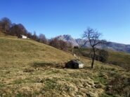 Salvine.