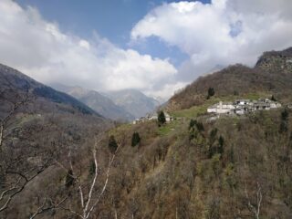 Verso Succinto.