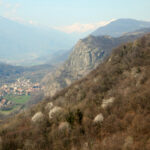 Rocca Bianca dal sentiero alto