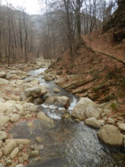 Lungo il torrente