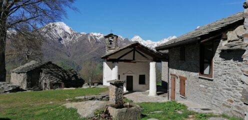 Chiappili