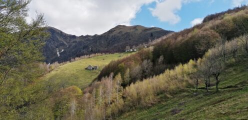 la punta in lontananza