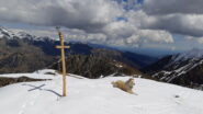 In cima con Stella