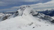 Cartolina