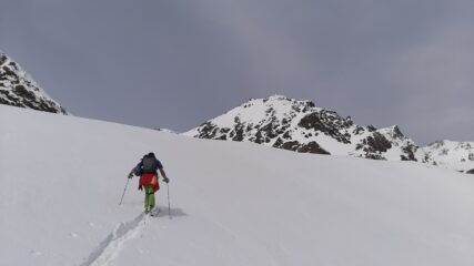 Intorno a quota 2.900 m riappare la Cima del Pelvo