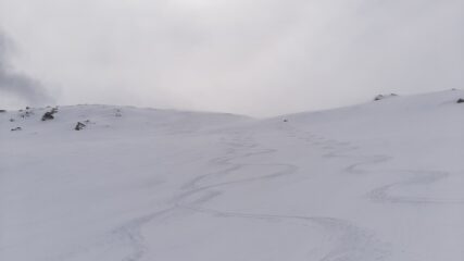 Curve nella neve fresca di maggio