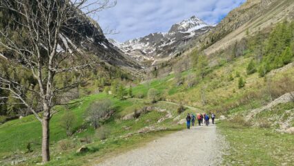 appena partiti, lungo la stradina sterrata che inizia a risalire il Vallone della Barbacana
