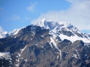 Corno Bianco