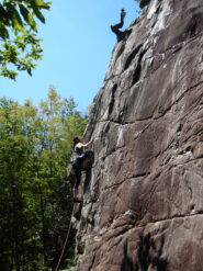 Bel 5C a destra del bonsai