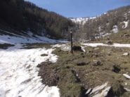 Sopra la Margheria si trova la neve