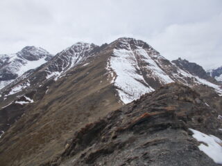 la Cima di Bardia dal M.Peyron..