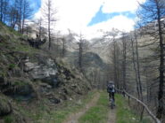 in leggera discesa verso l'Alpe Arcella