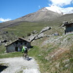 borgata Tour 175o m.