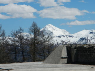 dal Forte vista sulla Punta Rognosa