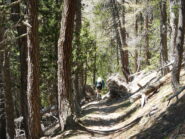 il bel single track verso le Grange Suppas