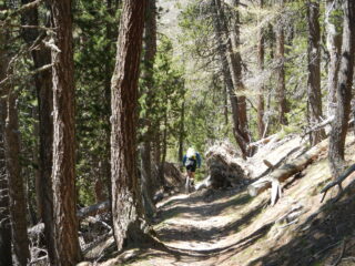 il bel single track verso le Grange Suppas