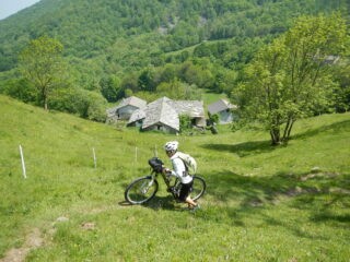 l'inizio, in salita, del sentiero n. 524