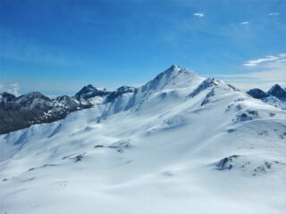 Aiguillette in gran forma...