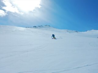 Farina compatta oltralpe