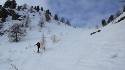 verso il colletto Clausid