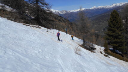 giù nel bosco...
