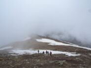 Dorsale per colletto Laris