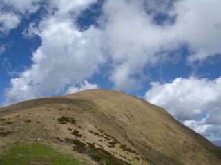 Panettone cima Asnas